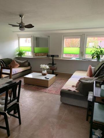 Hofesh Apartment Altdorf  Ngoại thất bức ảnh